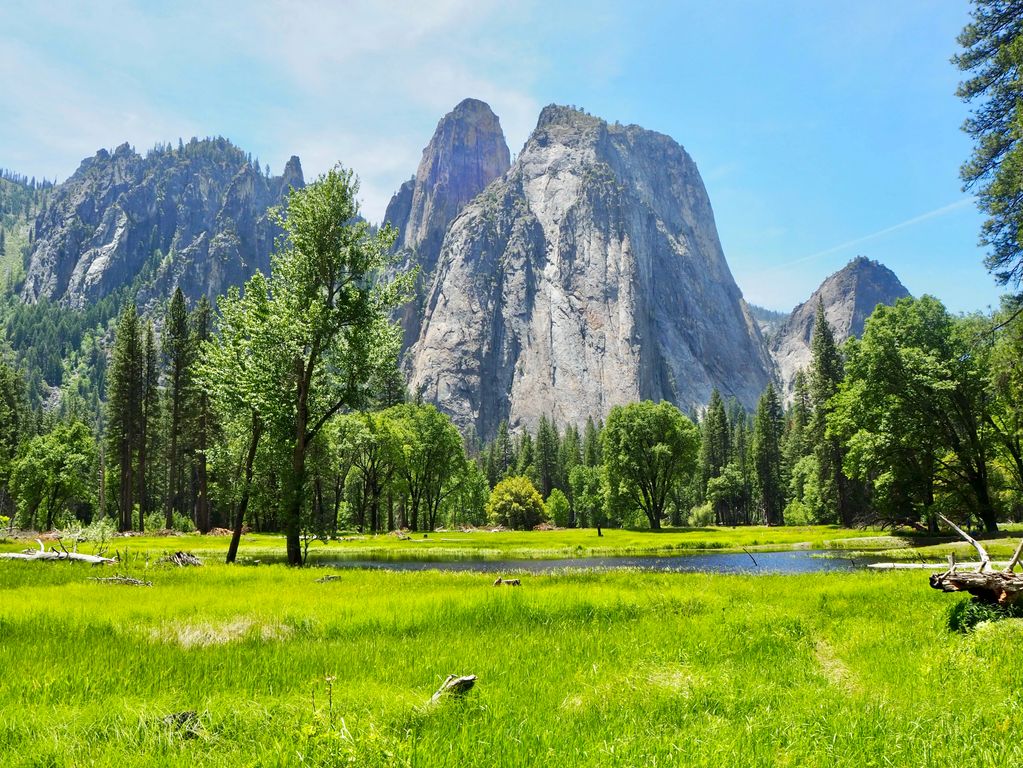Cathedral Rocks Yosemite Valley